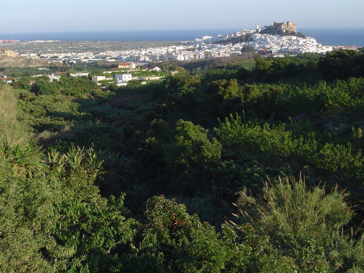 VOX Costa Tropical cuestiona que el gobierno de Salobreña haya renunciado a otros dos proyectos de la ITS